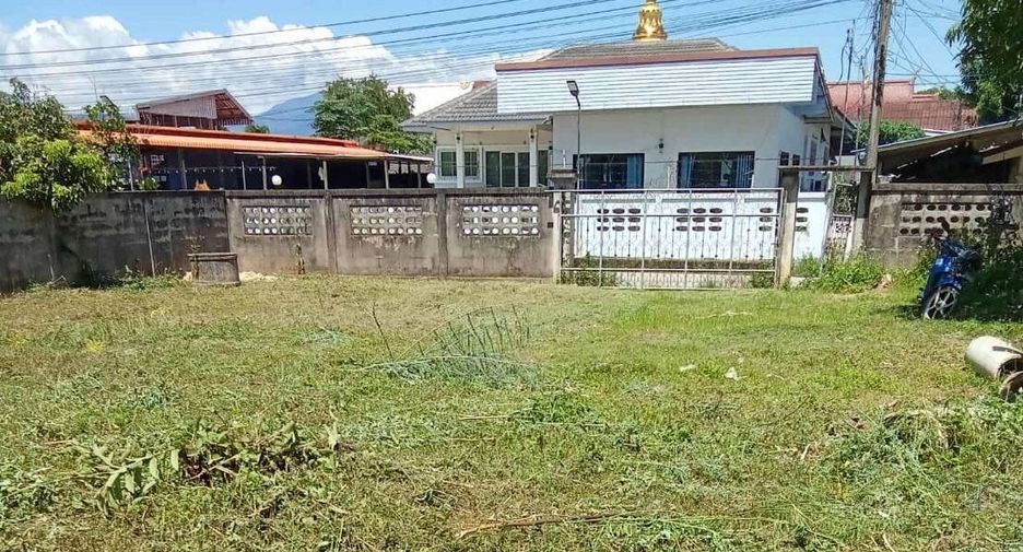 For sale land in Fang, Chiang Mai