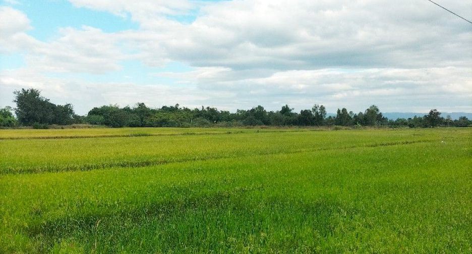 Terreno en venta en Nong Phai, Phetchabun