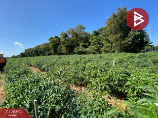 For sale land in Mueang Udon Thani, Udon Thani