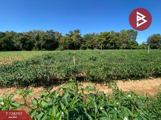 For sale land in Mueang Udon Thani, Udon Thani