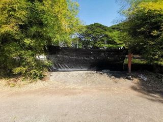出售 土地 在 Samoeng, Chiang Mai