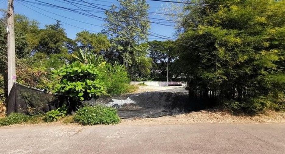 For sale land in Samoeng, Chiang Mai