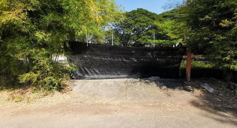 For sale land in Samoeng, Chiang Mai