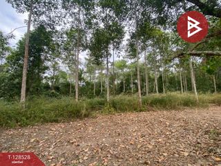 出售 土地 在 Klaeng, Rayong