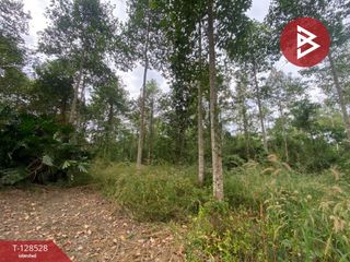 出售 土地 在 Klaeng, Rayong