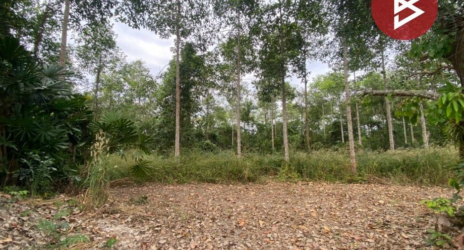 For sale land in Klaeng, Rayong