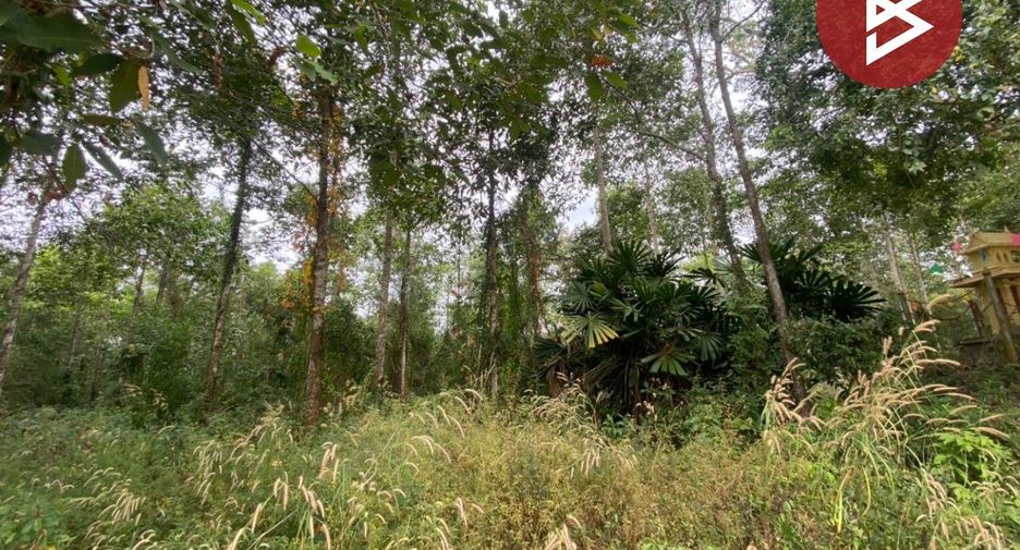 For sale land in Klaeng, Rayong
