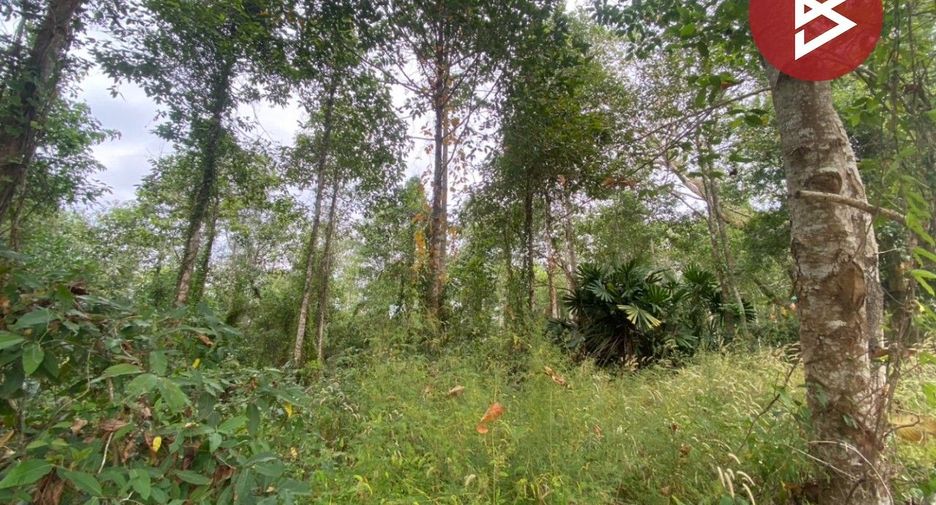 For sale land in Klaeng, Rayong