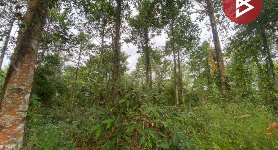 For sale land in Klaeng, Rayong
