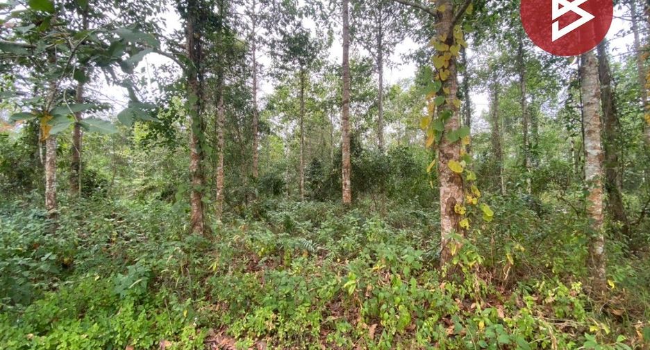 For sale land in Klaeng, Rayong