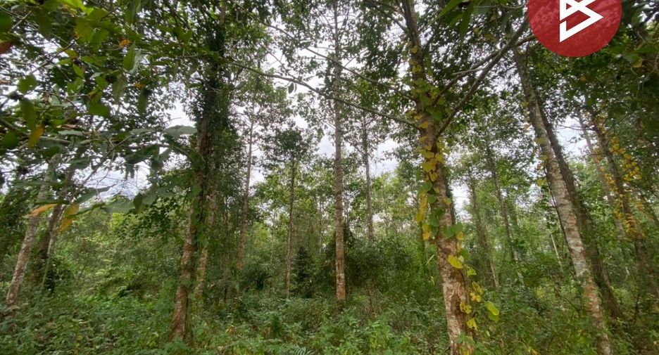 For sale land in Klaeng, Rayong
