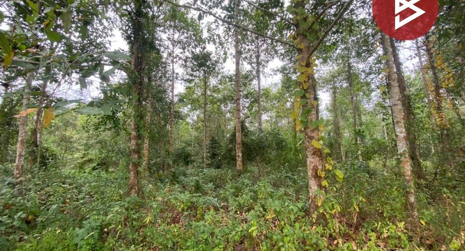 For sale land in Klaeng, Rayong