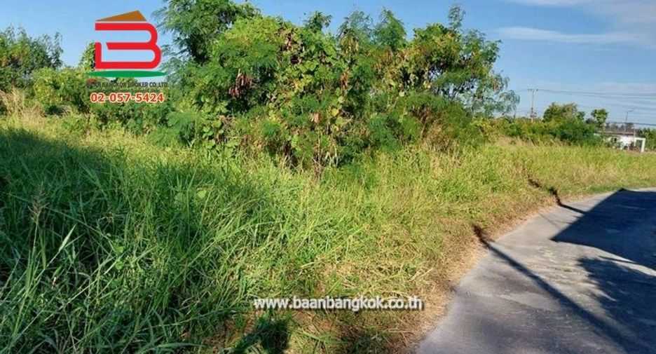 For sale land in Sao Hai, Saraburi