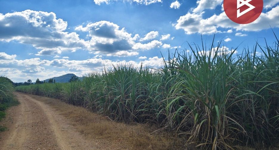 For sale land in Mueang Kanchanaburi, Kanchanaburi
