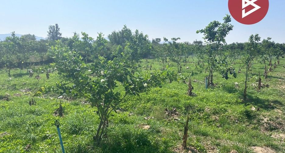 Grundstück zum Kauf in Tha Yang, Phetchaburi