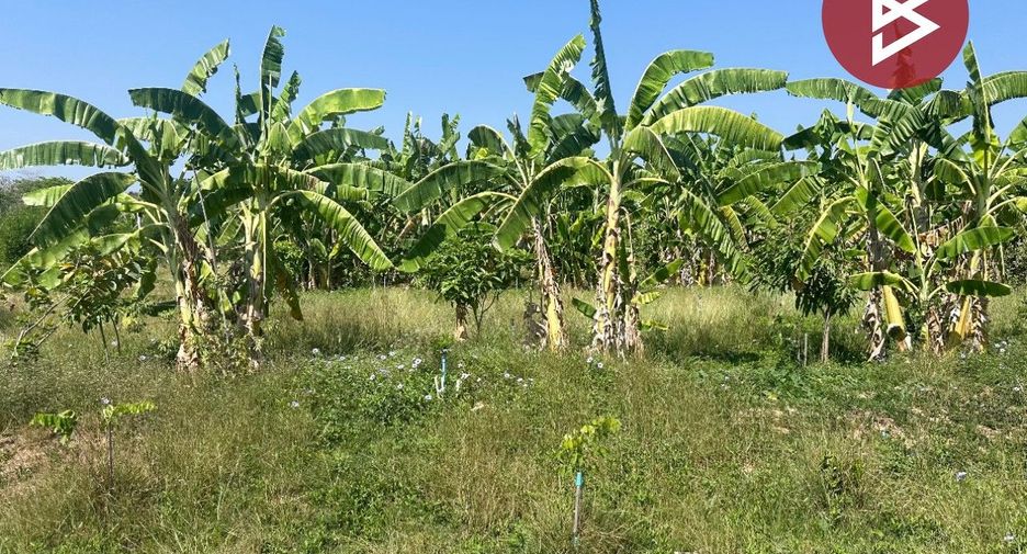 Grundstück zum Kauf in Tha Yang, Phetchaburi