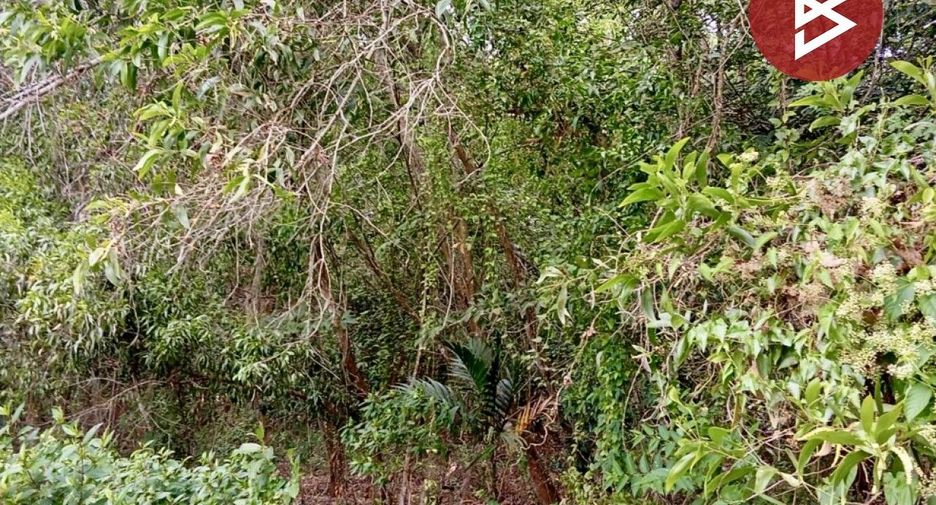ขาย ที่ดิน ใน เขาคิชฌกูฏ, จันทบุรี