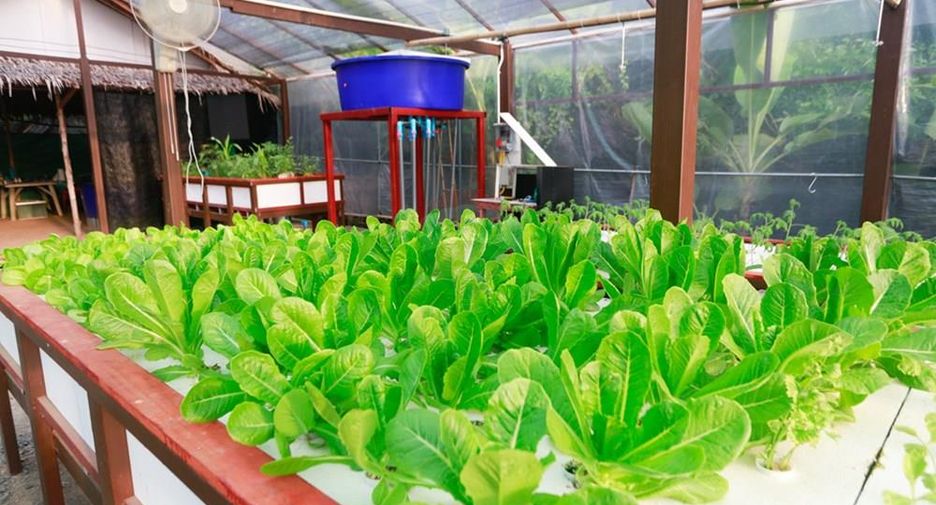 For sale 3 bedrooms retail Space in Ko Samui, Surat Thani