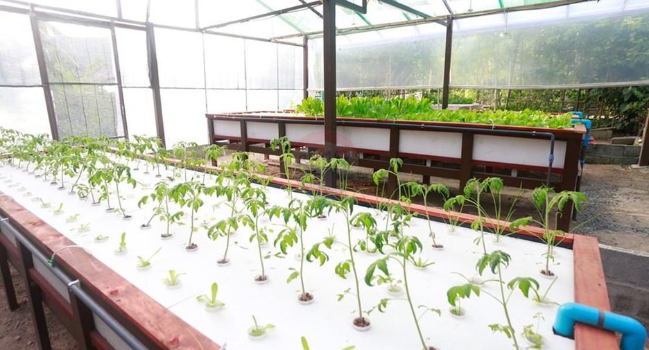 For sale 3 bedrooms retail Space in Ko Samui, Surat Thani