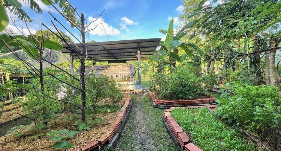 For sale 3 bedrooms retail Space in Ko Samui, Surat Thani