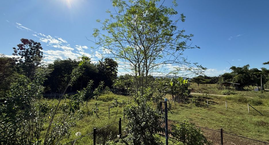 For sale 3 bedrooms house in Ban Thi, Lamphun