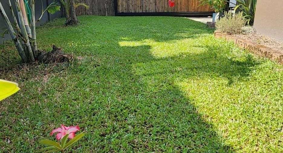 For sale 3 bedrooms house in San Sai, Chiang Mai