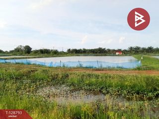 ขาย ที่ดิน ใน ปากพลี, นครนายก