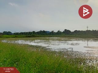 ขาย ที่ดิน ใน ปากพลี, นครนายก