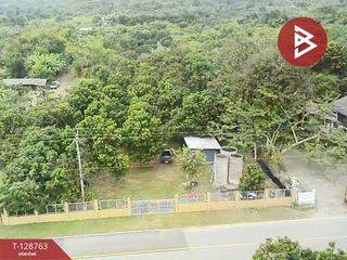 For sale land in Doi Lo, Chiang Mai