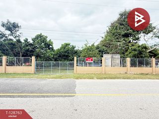 For sale land in Doi Lo, Chiang Mai