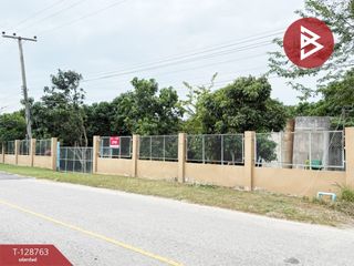 For sale land in Doi Lo, Chiang Mai