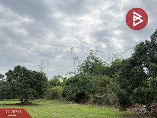 For sale land in Doi Lo, Chiang Mai
