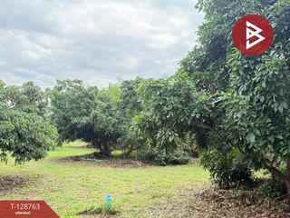 For sale land in Doi Lo, Chiang Mai