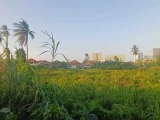ขาย ที่ดิน ใน เมืองสุราษฎร์ธานี, สุราษฎร์ธานี
