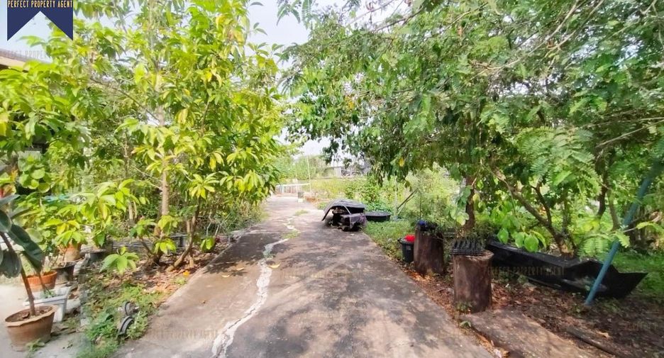 For sale 6 bedrooms house in Nong Chok, Bangkok