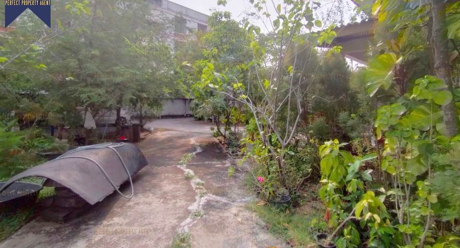 For sale 6 bedrooms house in Nong Chok, Bangkok