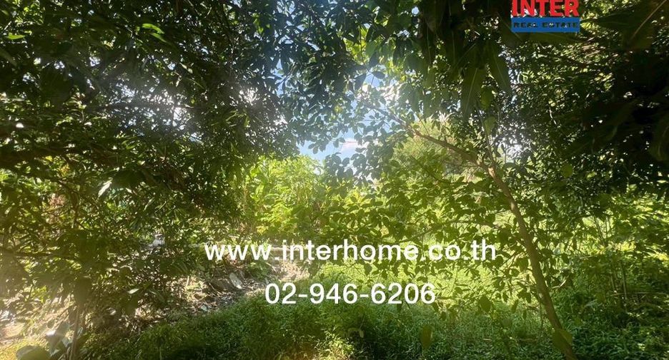 For sale land in Sam Khok, Pathum Thani