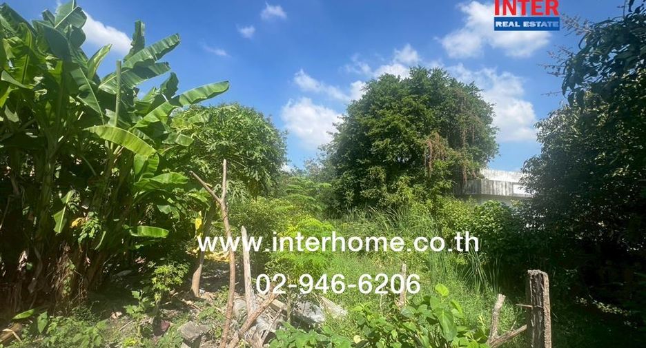 For sale land in Sam Khok, Pathum Thani