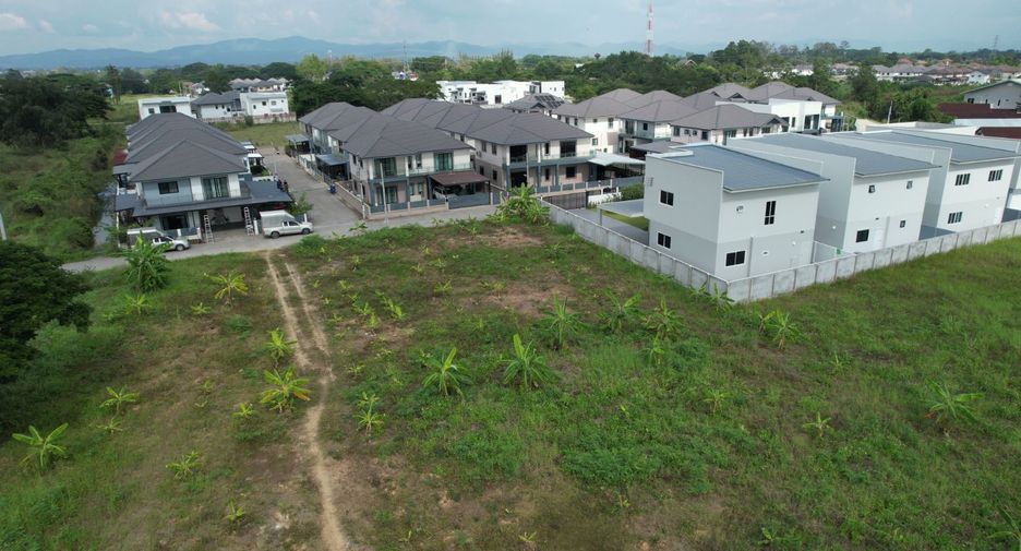 For sale land in San Sai, Chiang Mai