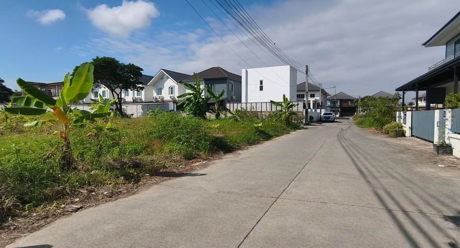 For sale land in San Sai, Chiang Mai