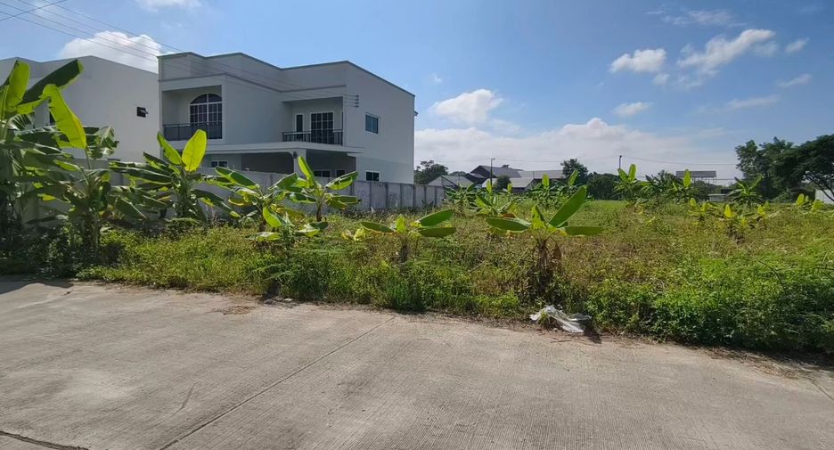For sale land in San Sai, Chiang Mai