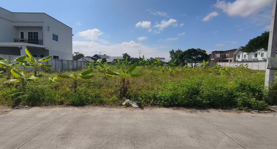 For sale land in San Sai, Chiang Mai