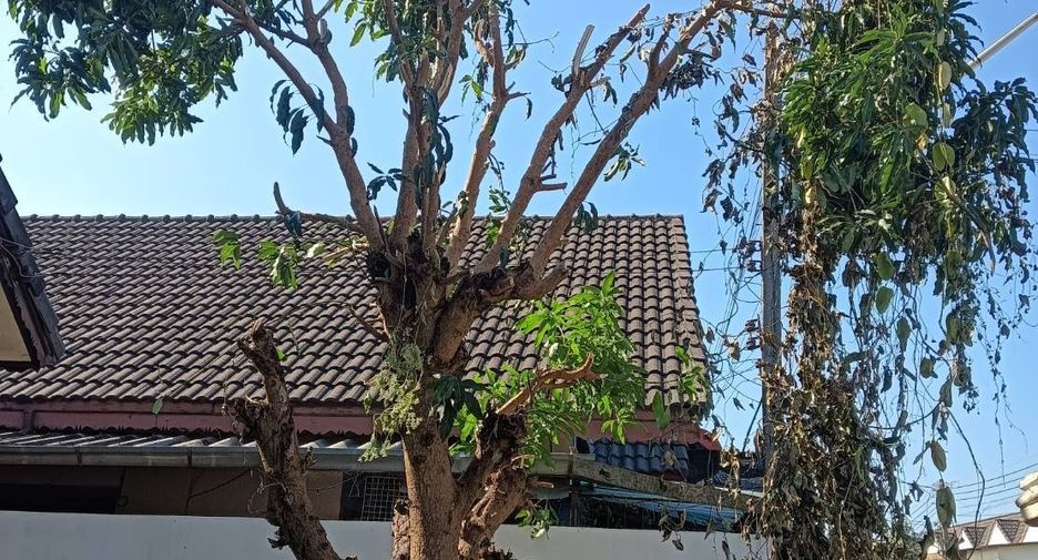 For sale 2 bedrooms house in Mueang Lampang, Lampang