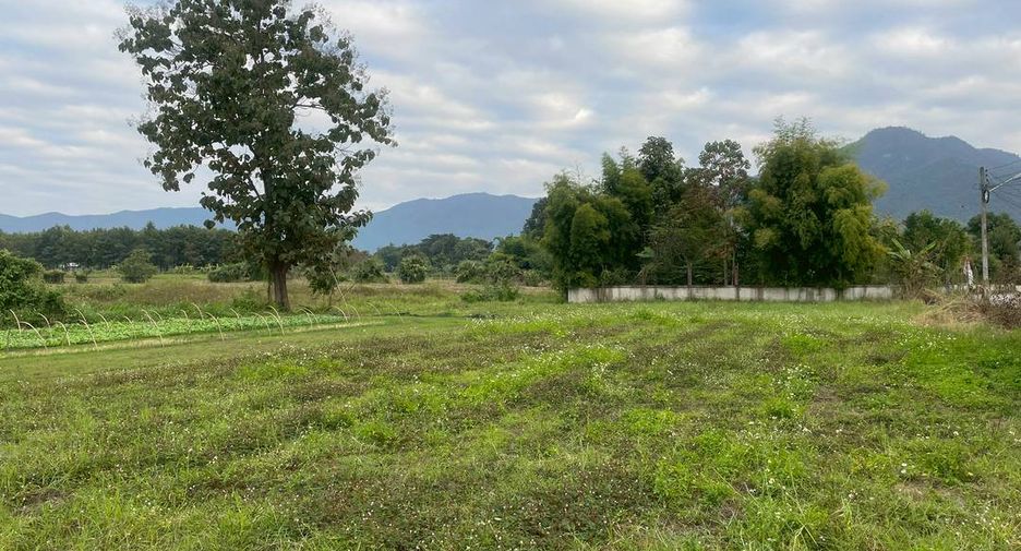 Grundstück zum Kauf in Mae On, Chiang Mai