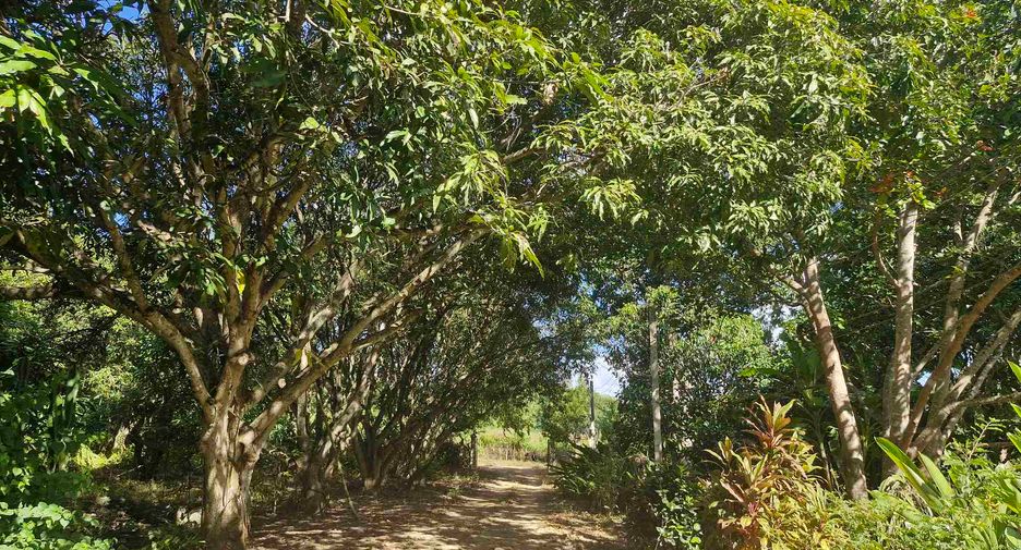 出售 4 卧室 独立屋 在 Si Sawat, Kanchanaburi