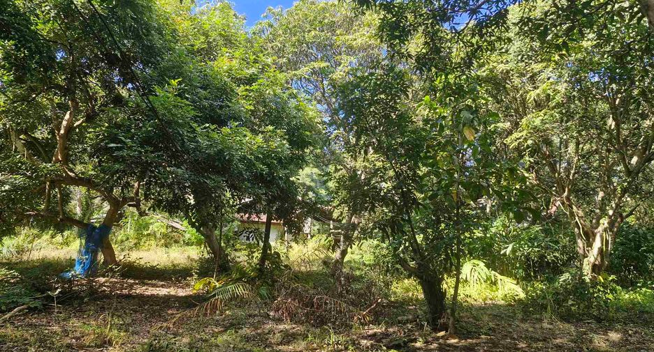 出售 4 卧室 独立屋 在 Si Sawat, Kanchanaburi