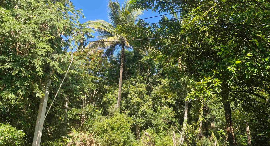 出售 4 卧室 独立屋 在 Si Sawat, Kanchanaburi
