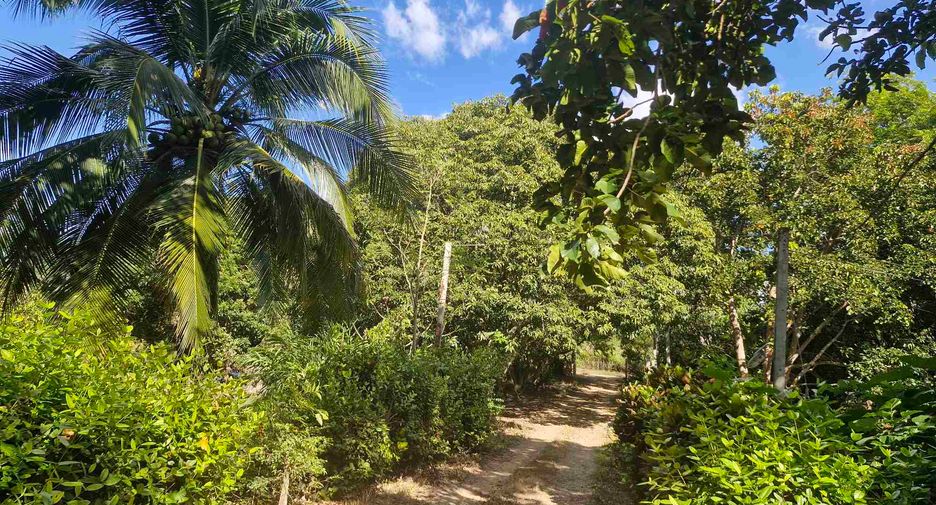 出售 4 卧室 独立屋 在 Si Sawat, Kanchanaburi