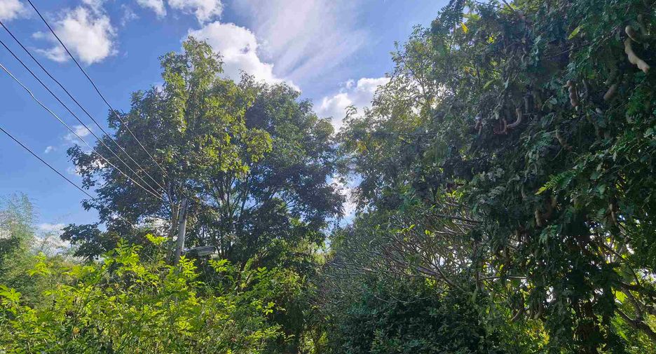出售 4 卧室 独立屋 在 Si Sawat, Kanchanaburi