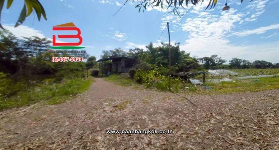 Terreno en venta en Nong Suea, Pathum Thani